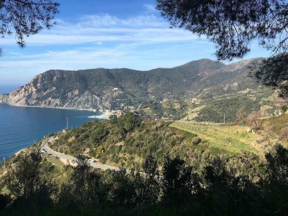 La Terrazza Di Monterosso Apartment Монтеросо ал Маре Екстериор снимка